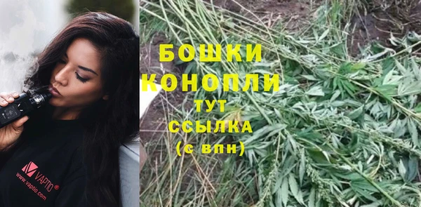 гидропоника Кодинск