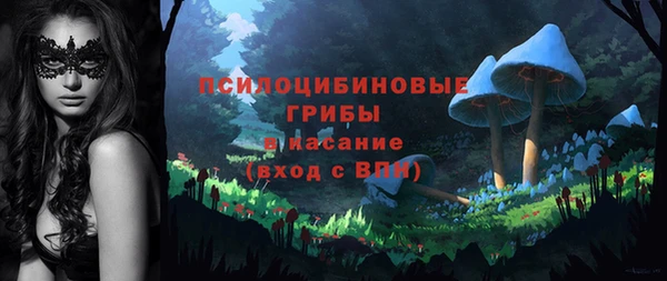 гидропоника Кодинск