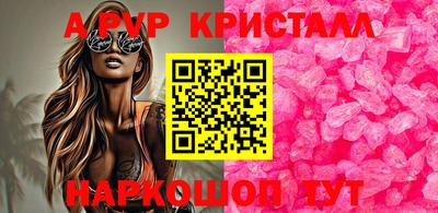 Альфа ПВП Гатчина