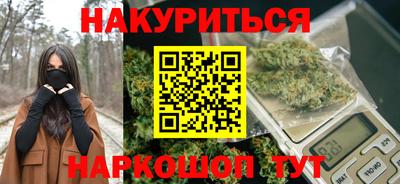 Альфа ПВП Гатчина