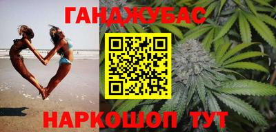 Альфа ПВП Гатчина