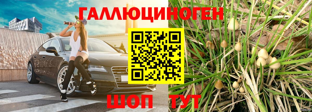 Псилоцибиновые грибы ЛСД Грозный