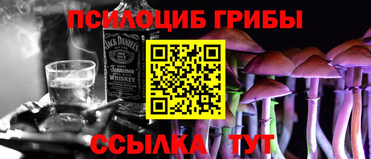 как найти закладки  Грозный  Псилоцибиновые грибы ЛСД 